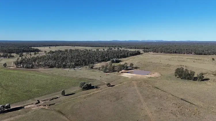 Fifth view of Homely rural property listing, 349 Boondandilla Road, Bulli Creek QLD 4357