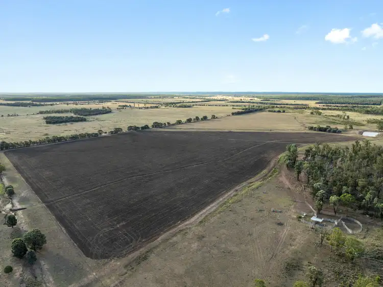 Seventh view of Homely rural property listing, 349 Boondandilla Road, Bulli Creek QLD 4357