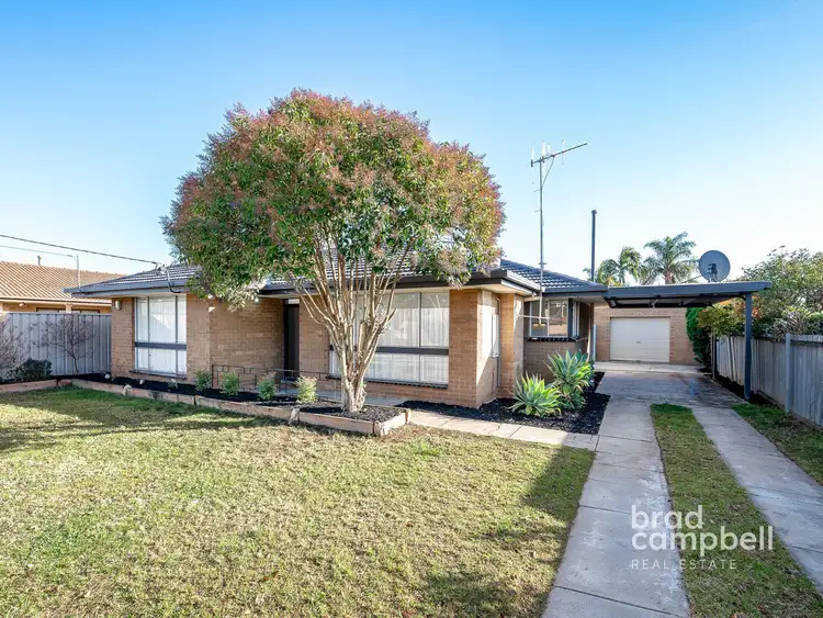 25 Wills Street, Shepparton VIC 3630