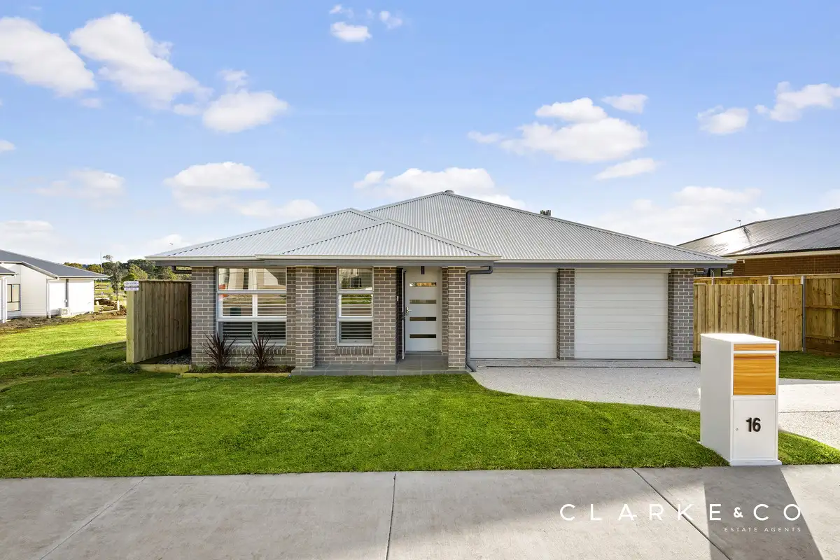 Main view of Homely house listing, 16 Trevallyn Avenue, Lochinvar NSW 2321