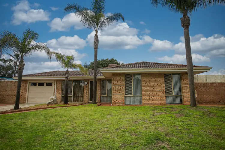 74 Apple Blossom Drive, Mirrabooka WA 6061