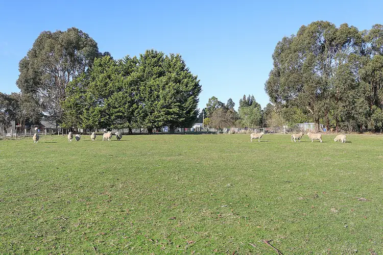 Fifth view of Homely land listing, 230 Cants Road, Elliminyt VIC 3250