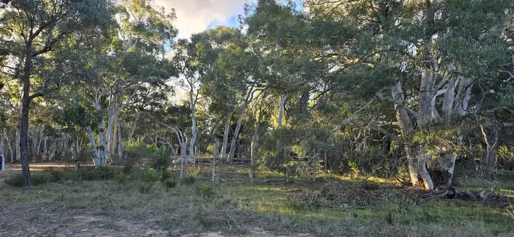 Sixth view of Homely rural property listing, 1240 Boro Road, Mayfield NSW 2580