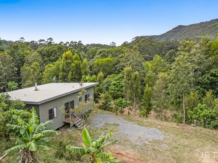 Fourth view of Homely rural property listing, 215 Mount Burrell Road, Mount Burrell NSW 2484