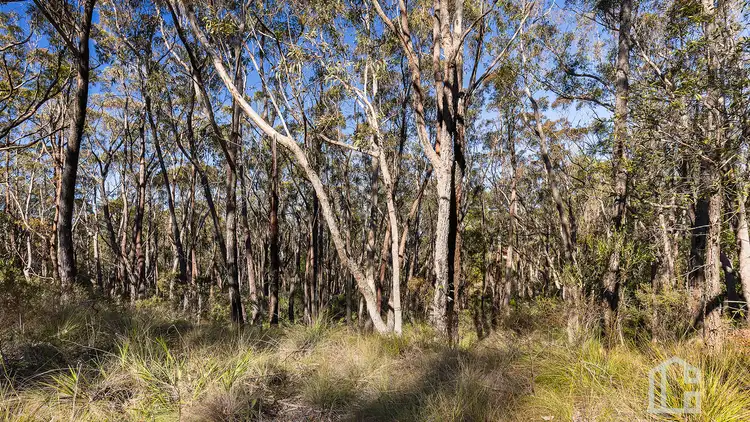 Fifth view of Homely land listing, 19-23 Duperry Street, Wentworth Falls NSW 2782