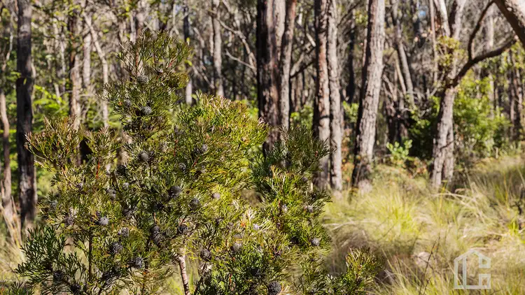 Seventh view of Homely land listing, 19-23 Duperry Street, Wentworth Falls NSW 2782