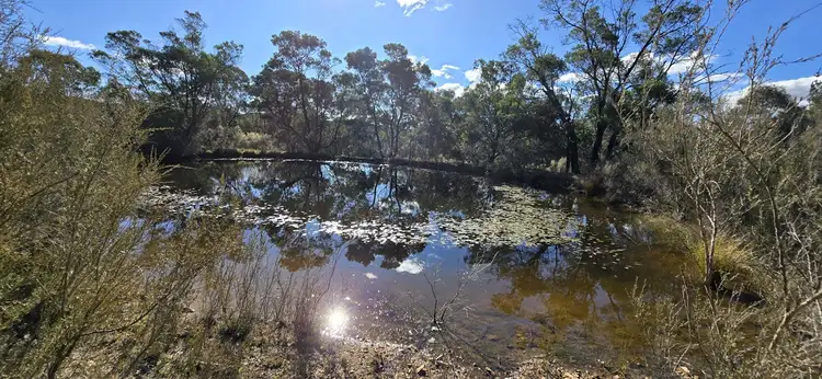 Fourth view of Homely rural property listing, 279 Covan Creek Road, Lake Bathurst NSW 2580