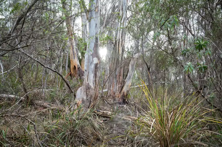 Seventh view of Homely land listing, Lot 2 Channel Highway, Taroona TAS 7053