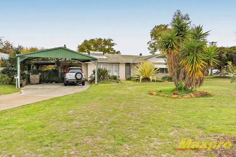 Second view of Homely house listing, 19 Brandon Way, Lynwood WA 6147