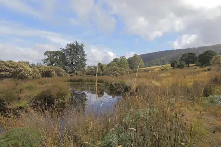 Third view of Homely rural property listing, 196 Wilks Road, Lorinna TAS 7306