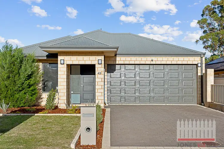 Main view of Homely house listing, 43 Jacqueline Street, Ashfield WA 6054
