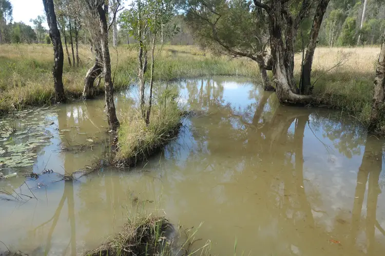 LOT 107, 400 Phillips Swamp Road, Busbys Flat NSW 2469