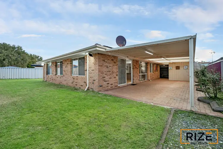 64 Mangrove Circuit, Banksia Grove WA 6031