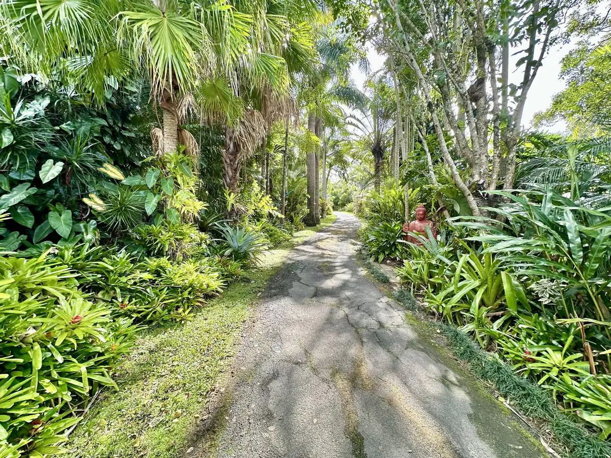 Main view of Homely house listing, 53 Westminster Boulevard, Elanora QLD 4221