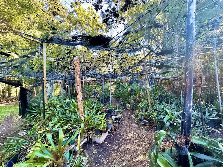 Third view of Homely house listing, 53 Westminster Boulevard, Elanora QLD 4221