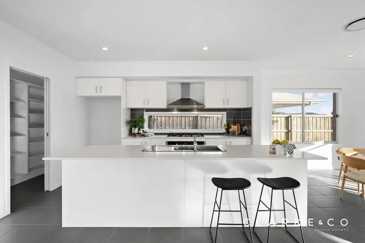 Third view of Homely house listing, 53 Tarragon Way, Chisholm NSW 2322