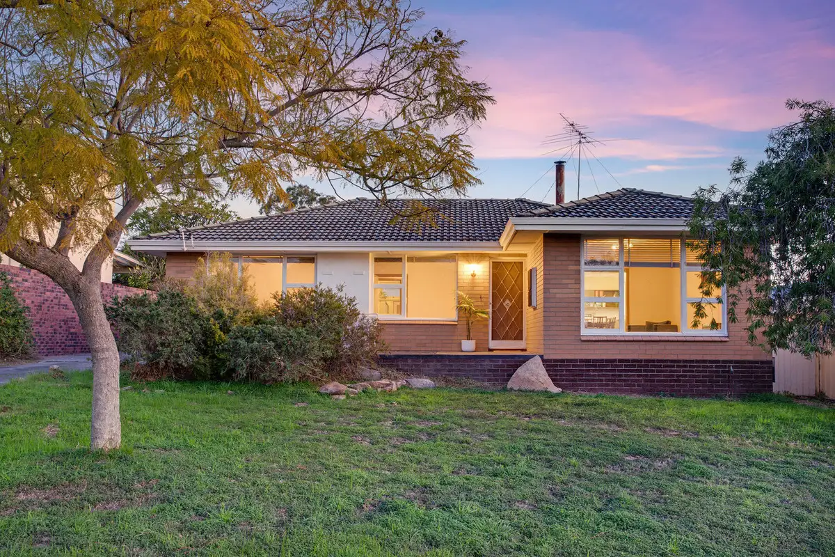 Main view of Homely house listing, 19 Plantagenet Crescent, Hamilton Hill WA 6163