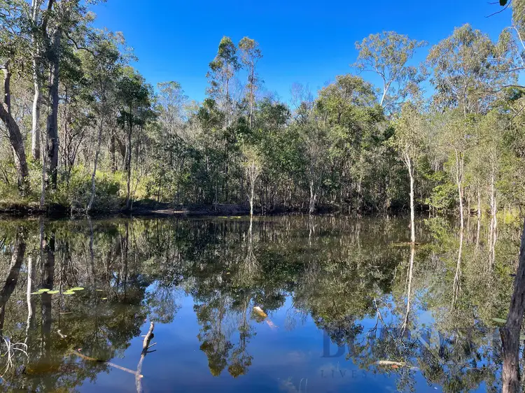 Second view of Homely rural property listing, 323 Eureka Road, Golden Fleece QLD 4621