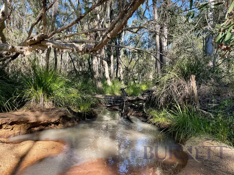 Fourth view of Homely rural property listing, 323 Eureka Road, Golden Fleece QLD 4621