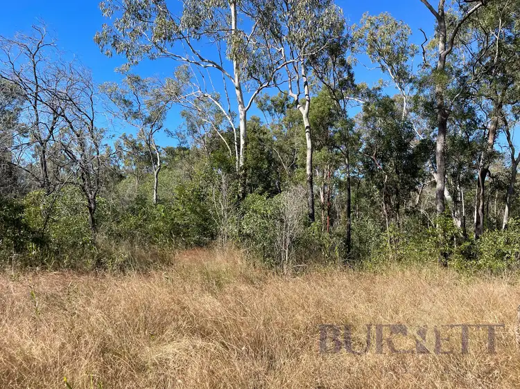 Fifth view of Homely rural property listing, 323 Eureka Road, Golden Fleece QLD 4621