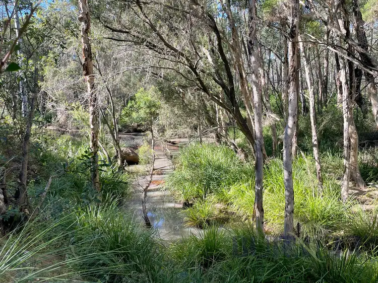 Seventh view of Homely rural property listing, 323 Eureka Road, Golden Fleece QLD 4621