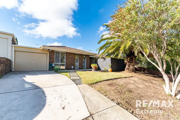 Fifth view of Homely semi-detached listing, 35A Camberwarra Drive, Craigie WA 6025