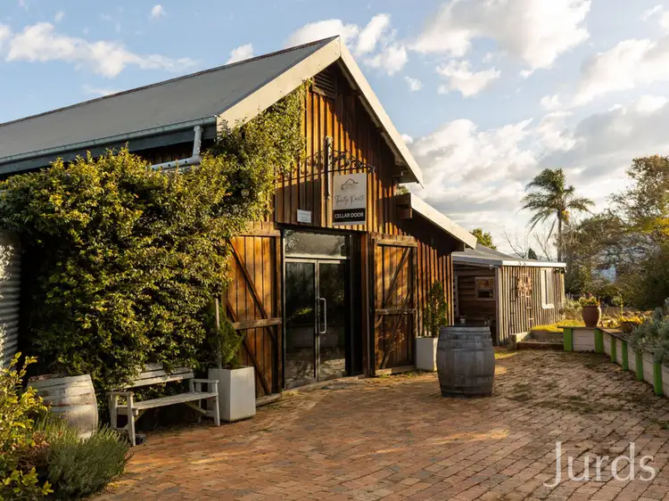 Sixth view of Homely rural property listing, 247 Wilderness Road, Lovedale NSW 2325