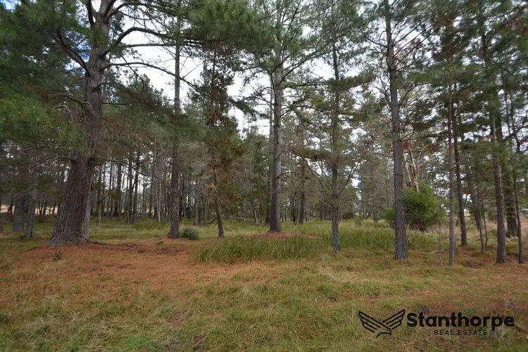 225 Sunrise Road