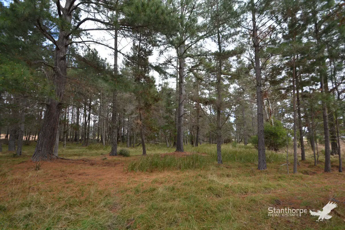 Main view of Homely land listing, Lot 225 Sunrise Drive, Sugarloaf QLD 4380