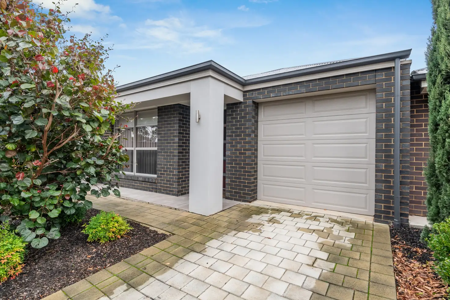 Main view of Homely house listing, 12 Red Cedar Drive, Reynella SA 5161