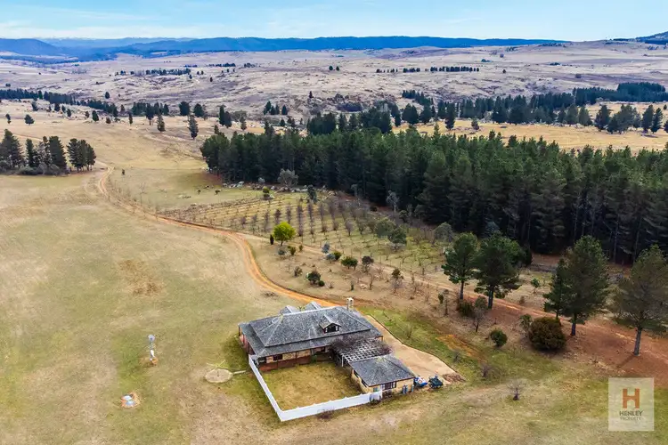 Third view of Homely rural property listing, 1587 Dalgety Road, Dalgety NSW 2628