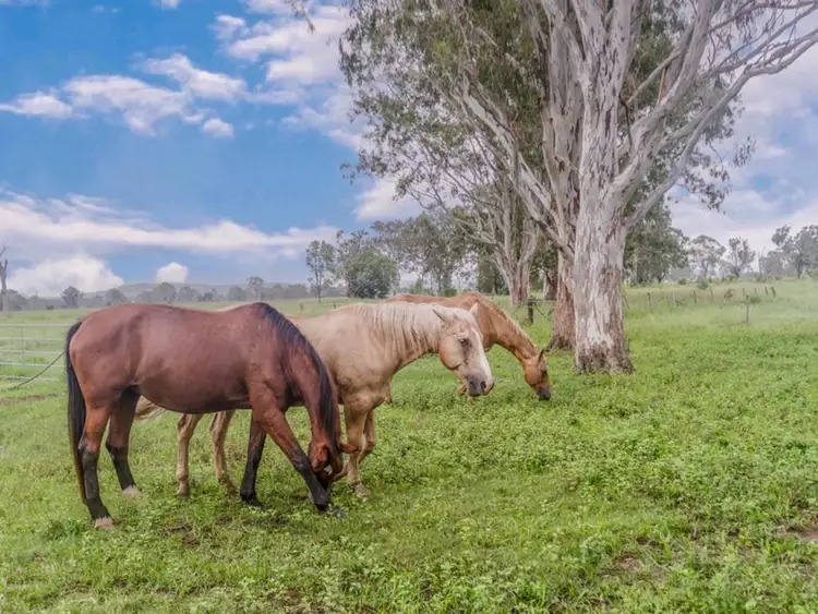 Fifth view of Homely house listing, 185 Hall Road, Woodhill QLD 4285
