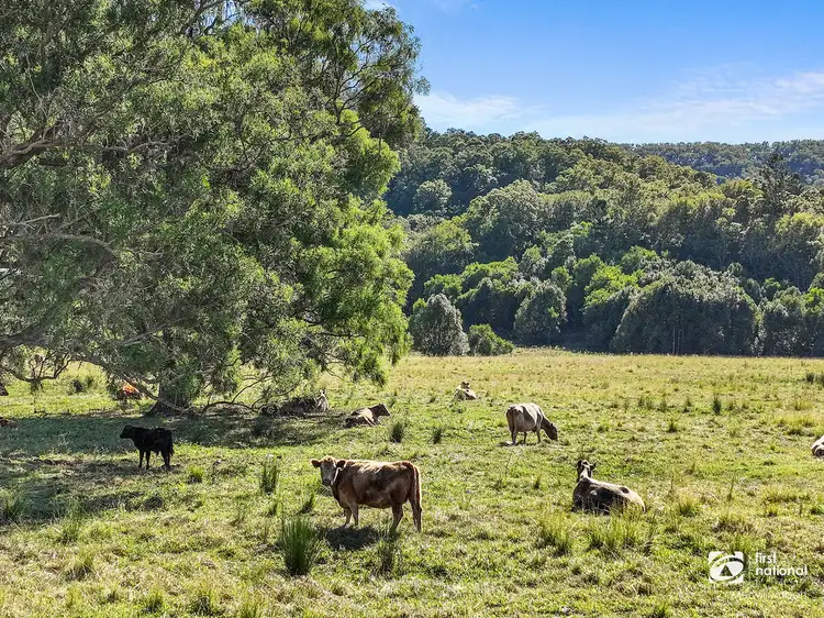500 TYALGUM Road, Tyalgum NSW 2484