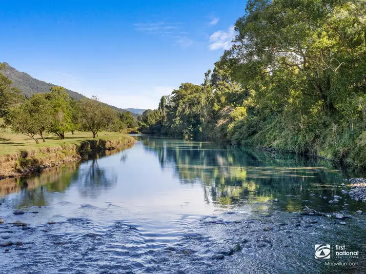 Second view of Homely house listing, 500 TYALGUM Road, Tyalgum NSW 2484