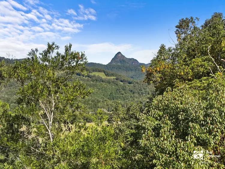 Third view of Homely house listing, 500 TYALGUM Road, Tyalgum NSW 2484