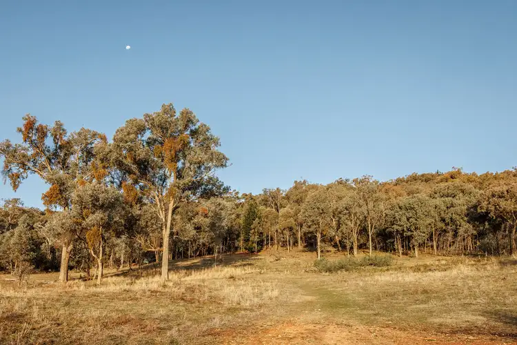 Sixth view of Homely house listing, 268 Kibell Lane, Beechworth VIC 3747
