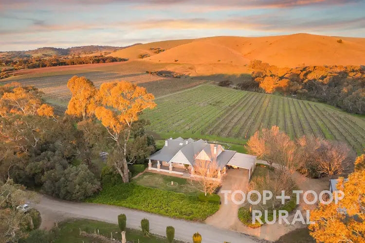 Main view of Homely rural property listing, 189 Nitschke Road, Krondorf SA 5352