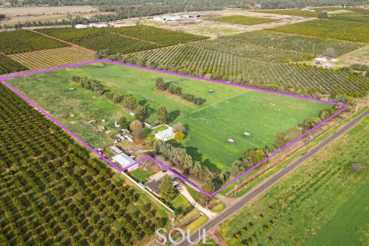 Main view of Homely rural property listing, 118 Mccarthy Road, Lake Wyangan NSW 2680