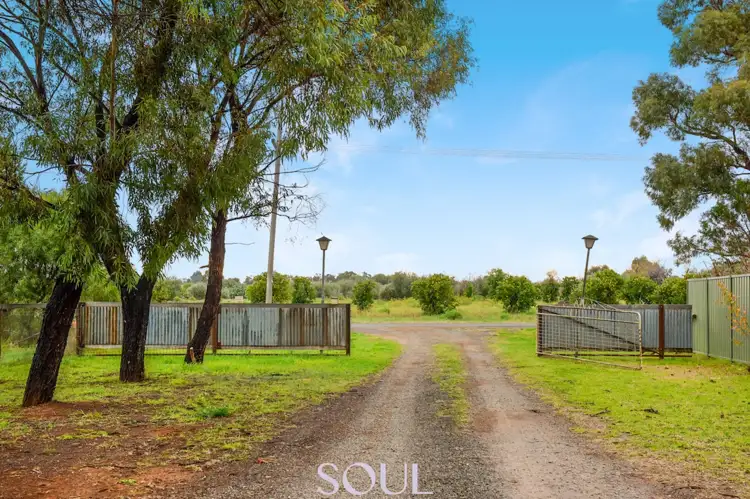 Second view of Homely rural property listing, 118 Mccarthy Road, Lake Wyangan NSW 2680