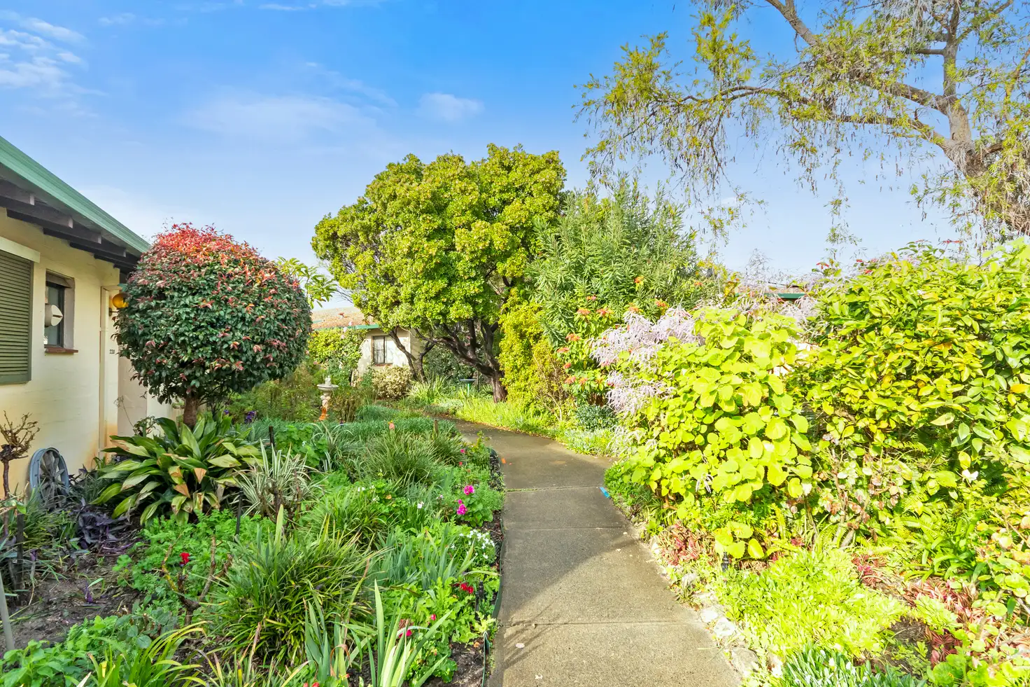 Main view of Homely retirement listing, 216/55 Belgrade Road, Wanneroo WA 6065