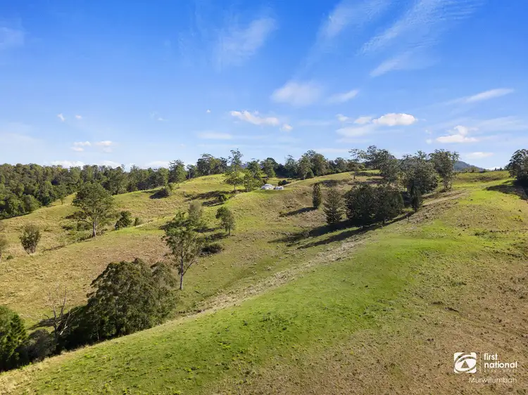 4753 Kyogle Road, Wadeville NSW 2474