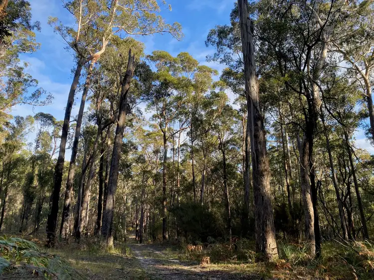 Seventh view of Homely land listing, 210 Lens Road, Toorloo Arm VIC 3909