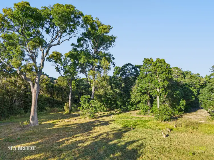 Seventh view of Homely land listing, 31 Hummock View Drive, Craignish QLD 4655