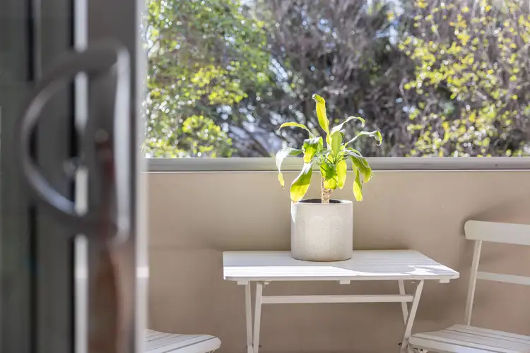 Fourth view of Homely apartment listing, 6/44B Bayswater Road, Rushcutters Bay NSW 2011