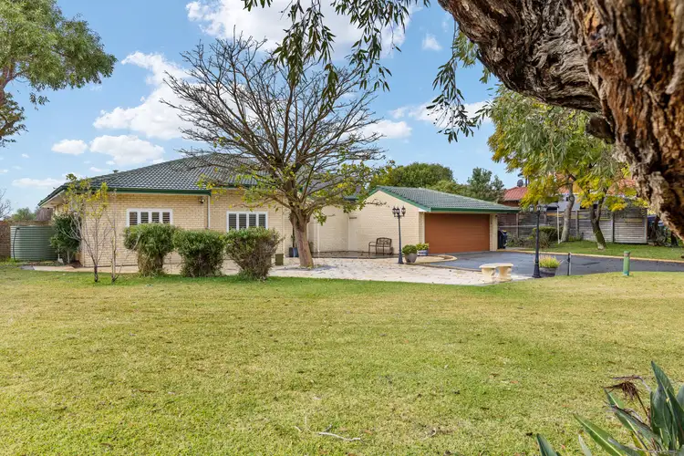 Main view of Homely house listing, 46 Cardinal Drive, The Vines WA 6069