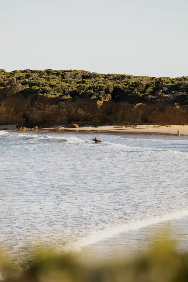 Fourth view of Homely townhouse listing, Lot 8 Cormorant Way, Torquay VIC 3228