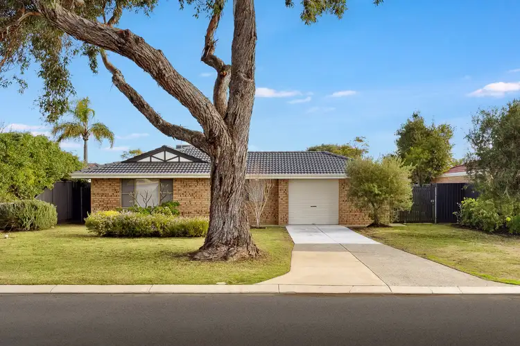 Second view of Homely house listing, 7 Woodbridge Drive, Cooloongup WA 6168