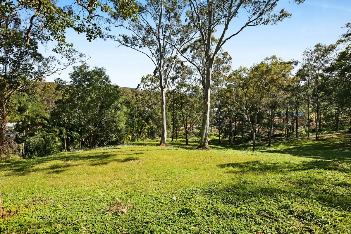 Main view of Homely rural property listing, 74 Trees Road, Tallebudgera QLD 4228