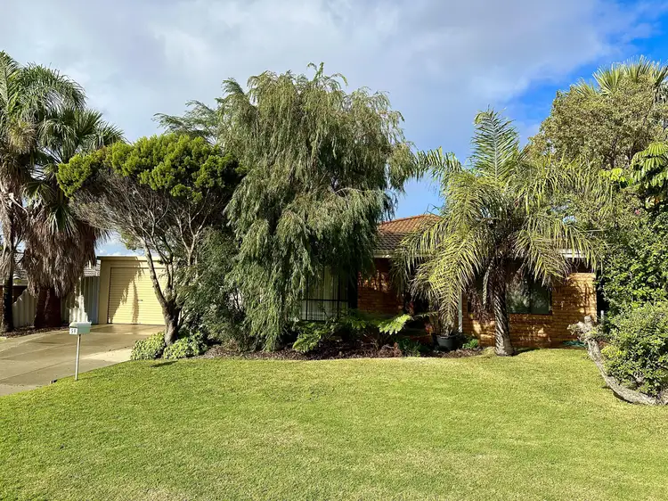 59 Christmas Avenue