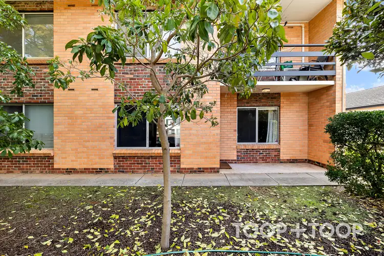 1/302 Young Street, Wayville SA 5034